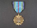 Společná medaile za úspěšnou službu
