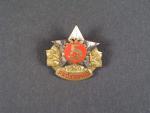 Odznak Průkopník socialistické práce č.39 + dekret, výroba Mincovna Kremnice, vzácné