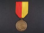 Pamětní medaile Lutych svým obráncúm 1914
