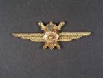 Odznak třídního specialisty letectva 1954-68. Pilot 3tř. světlemodrý smalt č.1899