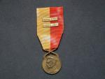 Pamětní medaile 5. střeleckého pluku T.G. Masaryka