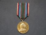 Pam. medaile 21. Střeleckého pluku Terronského