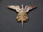 Odznak polní letounový pozorovatel zbraní, kopie