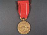 Pamětní medaile dělostřelectva čs. vojska na rusi
