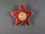 Pamětní odznak I. Stalinovy partyzánské brigády č.2210