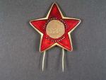 Pamětní odznak I. Stalinovy partyzánské brigády č.2828