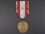 Pamětní medaile 1. revolučního pluku NSG