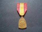 Pamětní medaile na válku 1914-1918