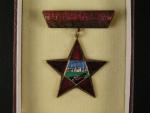 Odznak Zasloužilý pracovník okresu Hodonín
