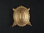 Zlatý čestný odznak krále Karla IV. - Za budování brannosti