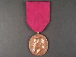 Bronzová medaile prince Luitpolda