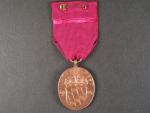 Bronzová medaile prince Luitpolda