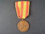 Pamětní bronzová medaile Fridricha I. 1852-1902