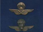 Odznak Maďarských parašutistů II.sv.válka