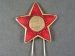 Pamětní odznak I. Stalinovy partyzánské brigády č.3714