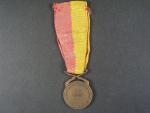 Pamětní medaile 5. střeleckého pluku T.G. Masaryka