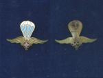 Rumunský parašutistický odznak II. sv. válka