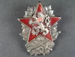 Odznak vojenské akademie 1948 č.6, výrobce Zukov Ag900
