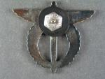 Odznak pilot, II.typ po roce 1995
