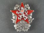 Odznak vojenské akademie 1948 č. 230, punc Ag
