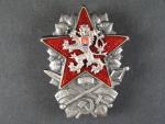 Odznak vojenské akademie 1949 č. 44, punc Ag