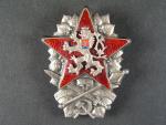 Odznak vojenské akademie 1953 č. 021, punc Ag
