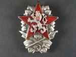 Odznak vojenské akademie 1954 č. 175, punc Ag