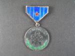 Medaile družby č.6208