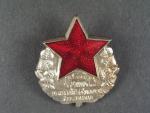 Odznak nejlepší pracovník železničního vojska č. 310