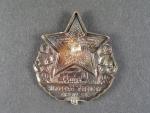 Odznak nejlepší pracovník železničního vojska č. 310