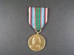 Pam. medaile 21. Střeleckého pluku Terronského