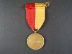 Zlatá pamětní medaile partyzánské organizace generála dr. Koutňáka–Vela