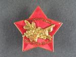 Odznak Hornonitranské partyzánské brigády