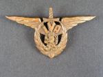 Odznak Letecké vojenské akademie č.29