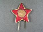 Pamětní odznak I. Stalinovy partyzánské brigády č.3462
