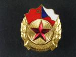 Odznak Hornonitranské partyzánské brigády kpt. Trojana s vybroušeným jnénem