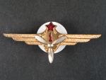 Odznak třídního specialisty letectva 1954-68. Palubní technik 1tř. č.529