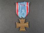 Pamětní odznak ČS dobrovolce z let 1918-19