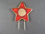 Pamětní odznak I. Stalinovy partyzánské brigády č.3793