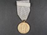 Pamětní medaile FIDAC s letopočtem 1918 - 1919 bez podpisu medailera