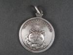 Čestná a záslužná medaile císaře Josefa II. VIRTUTE ET EXEMPLO I.tř., 50 mm