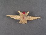 Odznak třídního specialisty letectva 1954-68. Pilot 1tř.