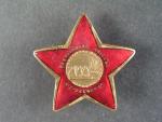 Pamětní odznak I. Stalinovy partyzánské brigády č.22