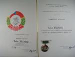 Pamětní odznak Nitranské partyzánské brigády č259 + dekret a průkaz