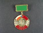 Pamětní odznak Nitranské partyzánské brigády č259 + dekret a průkaz