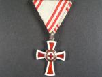 Vyznamenání za zásluhy o červený kříž, kříž II. stupně, Ag, mírně poškozený smalt v mezikruží, původní stuha