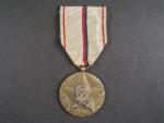 Pamětní medaile odbojové skupiny - Trávnice č.667