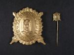 Zlatý čestný odznak krále Karla IV. - Za budování brannosti + miniatura