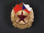 Odznak Hornonitranské partyzánské brigády kpt. Trojana, poškozený