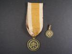 Medaile za záchranu papežských států rakouskými vojsky 1849, mimořádná zachovalost, původní stuha i závěs + miniatura